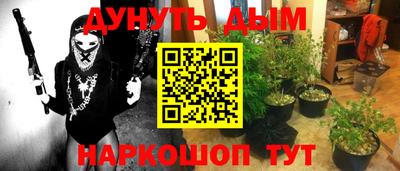 PSILOCYBIN Краснодар