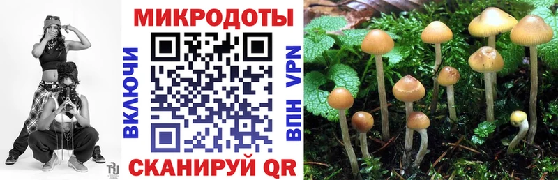 где купить наркоту  Тобольск  Псилоцибиновые грибы мухоморы 