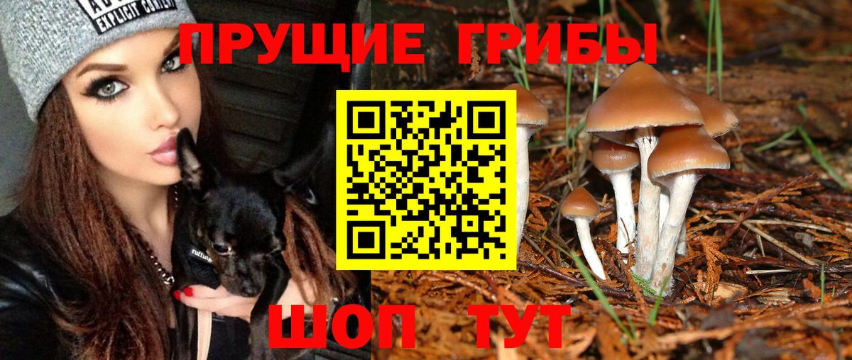 Псилоцибиновые грибы ЛСД  Псилоцибиновые грибы ЛСД  закладки  Тобольск  Вход с VPN 